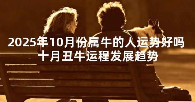 2025年10月份属牛的人运势好吗 十月丑牛运程发展趋势